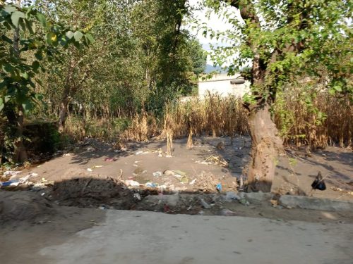 Buneer Flood 2025